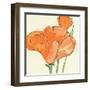 Sunshine Poppy IV-Chris Paschke-Framed Art Print