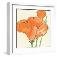 Sunshine Poppy IV-Chris Paschke-Framed Art Print