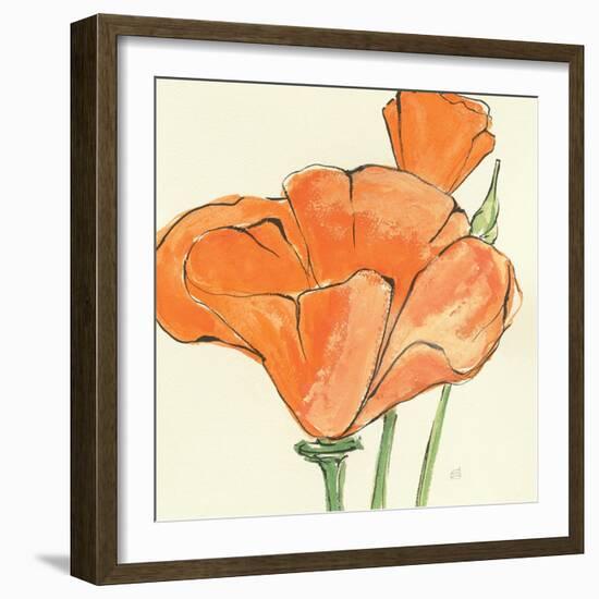 Sunshine Poppy IV-Chris Paschke-Framed Art Print