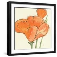 Sunshine Poppy IV-Chris Paschke-Framed Art Print