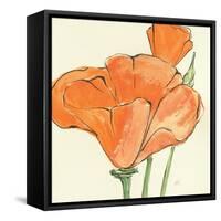 Sunshine Poppy IV-Chris Paschke-Framed Stretched Canvas