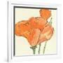 Sunshine Poppy IV-Chris Paschke-Framed Art Print