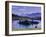 Sunshine Region, Island lake, Banff National Park, Alberta, Canada-Art Wolfe-Framed Premium Photographic Print
