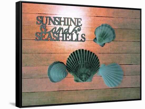 Sunshine Shells-Tom Kelly-Framed Stretched Canvas