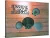 Sunshine Shells-Tom Kelly-Stretched Canvas