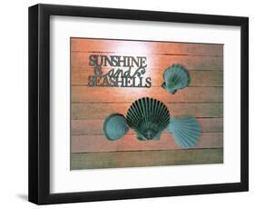 Sunshine Shells-Tom Kelly-Framed Giclee Print