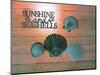 Sunshine Shells-Tom Kelly-Mounted Giclee Print