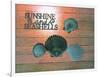 Sunshine Shells-Tom Kelly-Framed Giclee Print