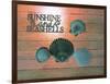 Sunshine Shells-Tom Kelly-Framed Giclee Print