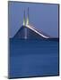 Sunshine Skyway Bridge, Tampa Bay, Saint Petersburg, Florida-John Coletti-Mounted Premium Photographic Print