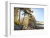 Sunshine streaming through trees, Juan De Fuca Trail, near Jordan River, Vancouver Island, British -Stuart Westmorland-Framed Photographic Print