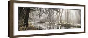 Sunshine Strolls-Assaf Frank-Framed Giclee Print