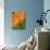 Sunshine Tulip-Ella Lancaster-Mounted Giclee Print displayed on a wall