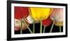 Sunshine Tulips-Assaf Frank-Framed Art Print