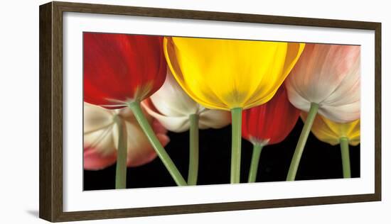 Sunshine Tulips-Assaf Frank-Framed Art Print