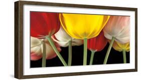 Sunshine Tulips-Assaf Frank-Framed Art Print