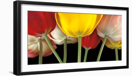 Sunshine Tulips-Assaf Frank-Framed Art Print