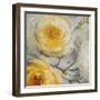 Sunshine XI-Lisa Audit-Framed Art Print