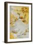 Sunshine XVI-Lisa Audit-Framed Art Print