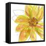 Sunshine-Jan Weiss-Framed Stretched Canvas