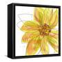 Sunshine-Jan Weiss-Framed Stretched Canvas