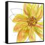 Sunshine-Jan Weiss-Framed Stretched Canvas