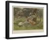 Sunshine-Alice Havers-Framed Giclee Print