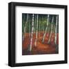 Sunshshine & Shadow I-null-Framed Art Print