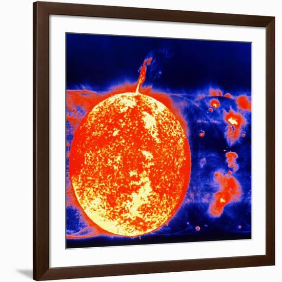 Sunspots and Solar Prominences, 1973-null-Framed Giclee Print