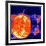 Sunspots and Solar Prominences, 1973-null-Framed Giclee Print