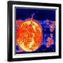 Sunspots and Solar Prominences, 1973-null-Framed Giclee Print