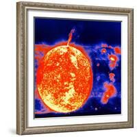 Sunspots and Solar Prominences, 1973-null-Framed Giclee Print