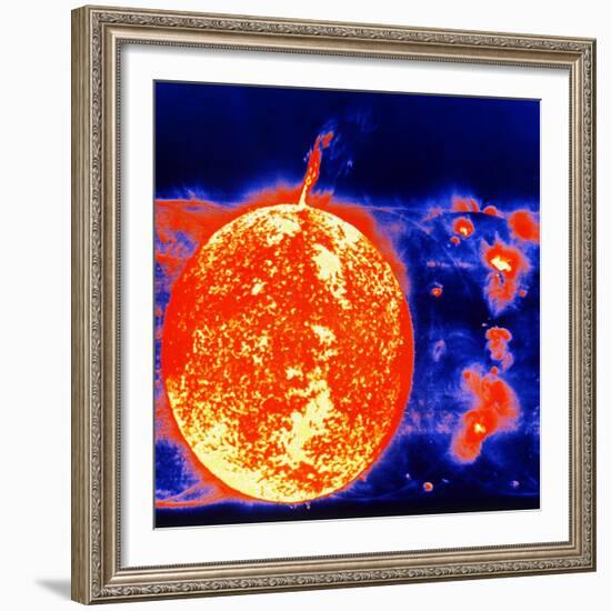 Sunspots and Solar Prominences, 1973-null-Framed Giclee Print