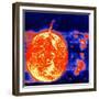 Sunspots and Solar Prominences, 1973-null-Framed Giclee Print