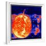 Sunspots and Solar Prominences, 1973-null-Framed Giclee Print