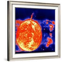 Sunspots and Solar Prominences, 1973-null-Framed Giclee Print