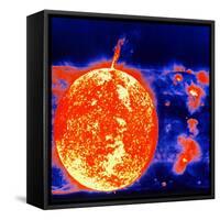 Sunspots and Solar Prominences, 1973-null-Framed Stretched Canvas