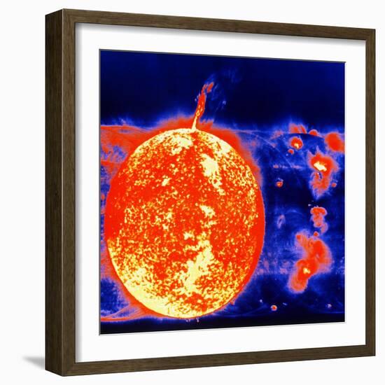 Sunspots and Solar Prominences, 1973-null-Framed Giclee Print