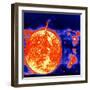 Sunspots and Solar Prominences, 1973-null-Framed Giclee Print