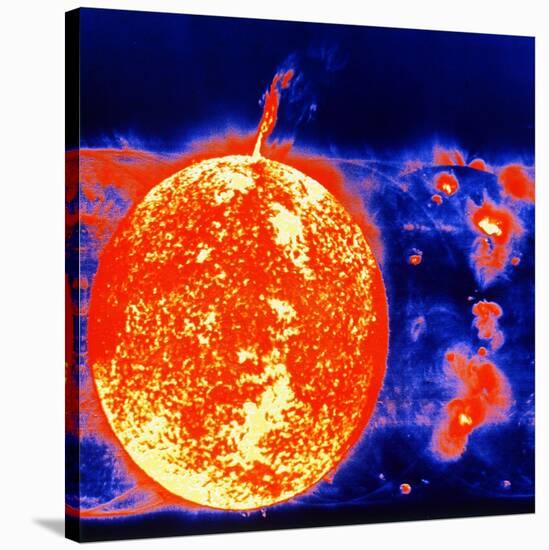 Sunspots and Solar Prominences, 1973-null-Stretched Canvas