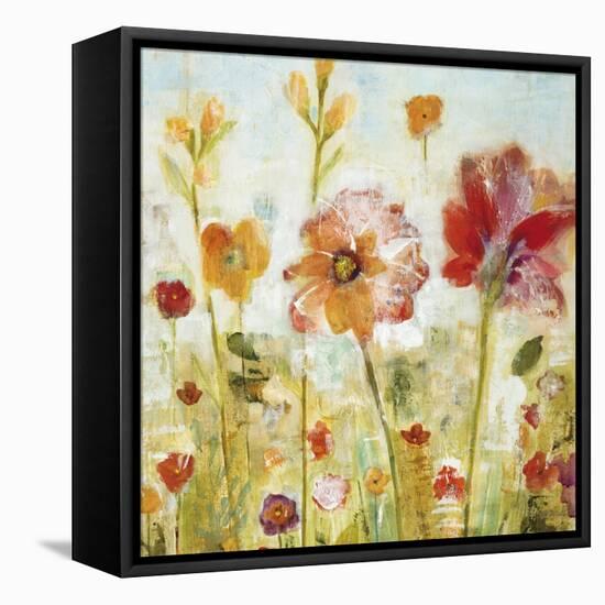 Sunspots II-Jill Martin-Framed Stretched Canvas