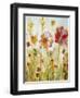 Sunspots II-Jill Martin-Framed Art Print