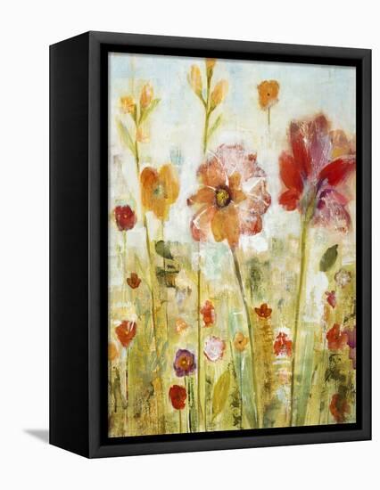 Sunspots II-Jill Martin-Framed Stretched Canvas