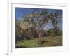 Suntree, 2013-Angus Hampel-Framed Premium Giclee Print