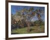 Suntree, 2013-Angus Hampel-Framed Premium Giclee Print