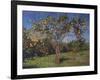 Suntree, 2013-Angus Hampel-Framed Premium Giclee Print