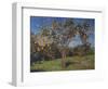 Suntree, 2013-Angus Hampel-Framed Giclee Print