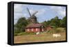 Sunvara Kvarn Windmill, Sunvara, Near Varobacka, Halland, Southwest Sweden, Sweden, Scandinavia-Stuart Black-Framed Stretched Canvas