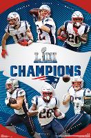 Super Bowl LIII - Champions New England Patriots-null-Lamina Framed Poster