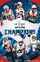 Super Bowl LIII - Champions New England Patriots-null-Lamina Framed Poster